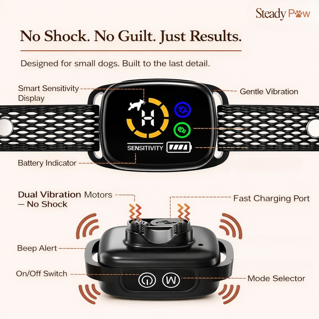 Steady Paw — The Collar That Brings Him Back